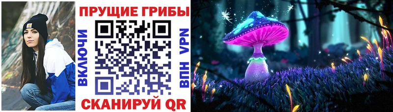 что такое наркотик  Славянск-на-Кубани  Галлюциногенные грибы Psilocybe 